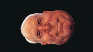 chubby amateur forced - David Foster Wallace on John McCain, 2000 Rolling Stone Story