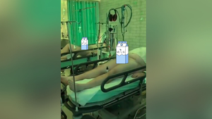 erotic forced lactation porn - Jordan Peterson Very Concerned by Milking Porn Factory