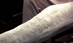 Famke Janssen Cartoon Porn - MY TOP TEN PLASTER CAST MOVIES | MULTIGLOM