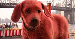 Moises Arias Gay Porn - Winter Movies 2021: Here's What's Coming Soon to Streaming and Theaters -  The New York Times