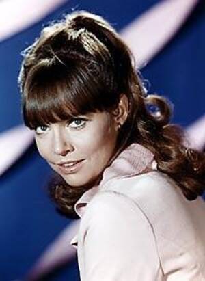 Barbara Feldon Nude - Classic \