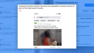facebook japanese porn - Was Porn Showing Up in Facebook Video Search After Outage? | Snopes.com