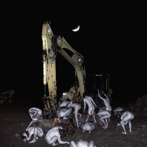 Body Horror Porn - Body Horror/Nativity - PORNCEPTUAL