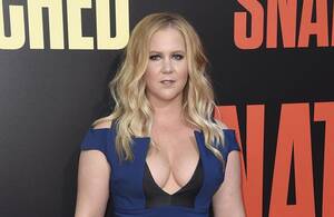 Amy Schumer Getting Fucked - Amy Schumer marries; 'Survivor' winner bites cop; 'Incredibles 2' trailer;  more: Buzz - syracuse.com