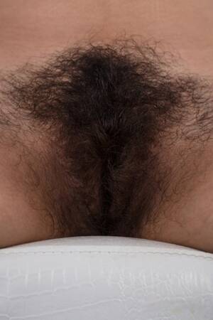 Czech Pussy Hairy - Czech Hairy Pussy Porn Pics & Naked Photos - PornPics.com