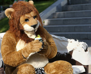 Furry Convention Extreme Adult Porn - A Furry enthusiast drinks a cocktail in Berlin