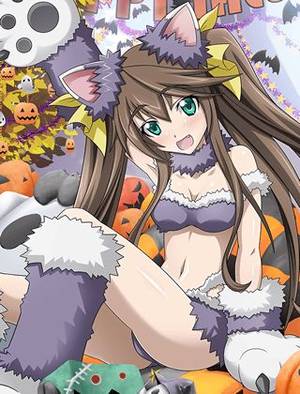 Cat Costume Infinite Stratos Porn - infinite stratos huang lingyin low resolution 1girl animal ears bra breasts  brown hair cleavage collar fake
