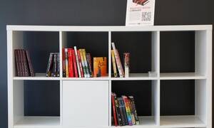 Banned Family Three Some - Republicans will do anything to ban books, even saying they cause porn  addiction | Arwa Mahdawi | The Guardian