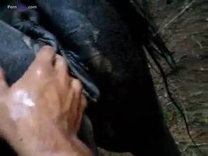 mare fisting videos - Hard mare fisting - Photos and other amusements.