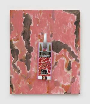 Alex Morgan Body Paint Pussy - Ravi Jackson: Hardcore â€“ The Brooklyn Rail