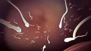 black bbc breeding - Watch B is for Black Breeding - Breeding, Bbc, Pmv Porn - SpankBang