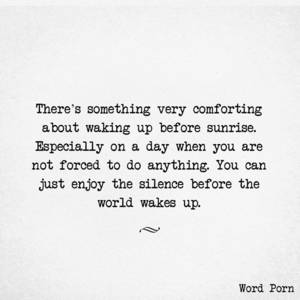 Forced Porn Quotes - Word Porn Quote