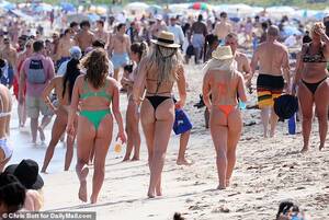 miami beach spring break naked - Bikini clad girls brawl alongside frat bros in booze-fueled Spring Break  boxing | Daily Mail Online