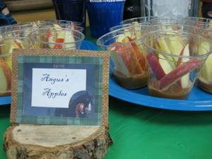 Disney Brave Angus Porn - Merida Brave Party: My husband cut slices from our Christmas tree and cut  little slits