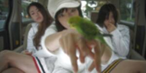 madonna upskirt - Upskirts for Christ: A Discussion About \