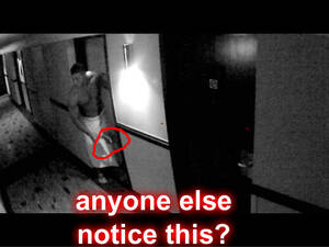 Aj Lee Having Sex - AJ & John - John Cena and AJ Lee photo (32729585) - fanpop