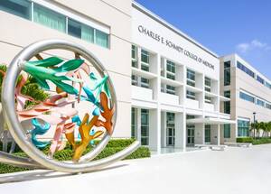 Fau Student Porn - Delray man caught watching child porn in FAU library officially sentenced â€“  UNIVERSITY PRESS