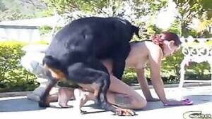 Girl Bestiality Porn - Girl dog porn with doggy style action. Free bestiality and animal porn