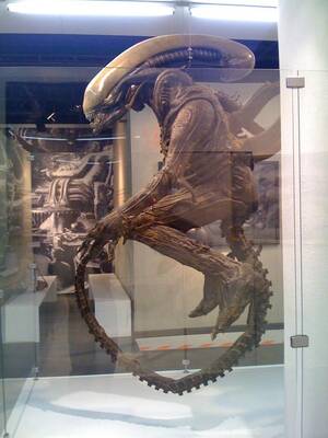 Alien 1979 Xenomorph Costume Porn - The original alien suit from 1979 : r/interestingasfuck