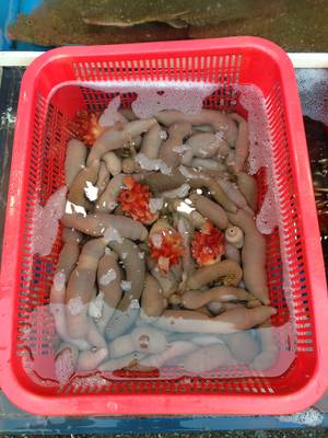 boom beach porn - It's like a nude beach.