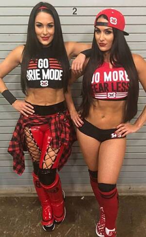 bella twins anal sex - All The Revelations in the Bella Twins' New Book Incomparable