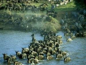 Mozambican Porn - 4 Day Great Limpopo Transfrontier National Park 4 x 4 Eco Trails - image:  Mozambique