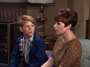 Andy Griffith Show Fake - James Garner and Lee Remick in The Wheeler Dealers (1963) | movies pic |  Pinterest