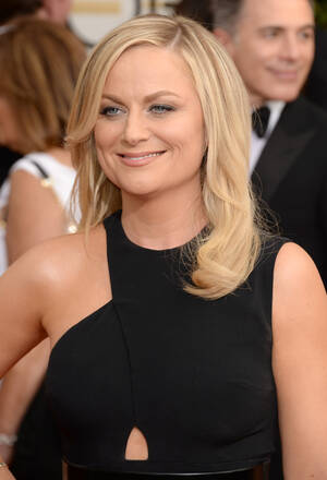 Amy Poehler Lesbian Porn - Jason Merritt/Getty Images Entertainment/Getty Images. Amy Poehler is  getting candid about sex and porn ...