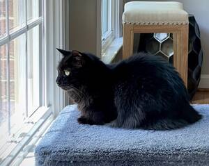 Abby Rode Big Tits At School Classroom - weekend open thread - June 24-25, 2023 â€” Ask a Manager