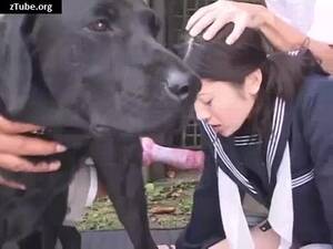 d 0g fucking asian - k9 Video archives - zTube