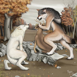 Cartoon Deer Porn - Statistics