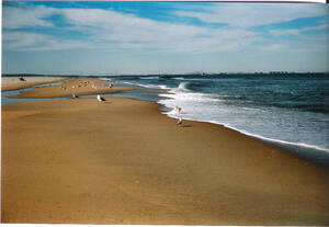 Gunnison Beach Amateur Porn - Gunnison Beach Sandy Hook's nude beach | Looking north towarâ€¦ | Flickr