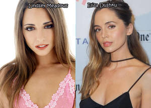 Celebrity Pornstars - 18 - 20 Celebrities And Their Pornstar Lookalikes
