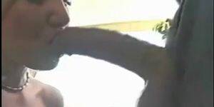 adult sex orgies - Swinger Party - Orgie Swingers (Adult Porn Orgy Group Sex XXX Hardcore Fuck  - Tnaflix.com