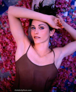 Courteney Cox Celebrity Porn - 
