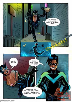 Cartoon Catwoman Porn - Justice Leagueâ€“ Nightwing and Catwoman - Porn Cartoon Comics