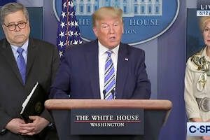 Bowser Porn Trump Clinton - Opinion | Trump's epic fail â€“ a moron is president