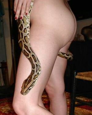 Girl Has Sex With Snake Porn - Beautiful girl with a snake Porn Pictures, XXX Photos, Sex Images #402000 -  PICTOA
