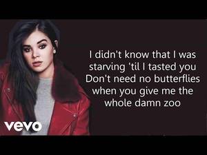 Hailee Steinfeld Porn Captions - Starving (Lyrics) - Hailee Steinfeld ft. Grey & Zedd