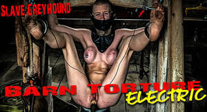 brutal slave - Brutal Master Slave Greyhound â€“ Barn Torture Electric (12.20.19) | Kinky  Porno BDSM Fetish Video | kinkyporno.biz