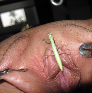 Lesbian Insect Porn - Women and Insects | MOTHERLESS.COM â„¢