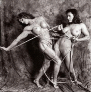 Diana Dennis Porn - Nude) Female Bodybuilders - Page 21 - The Drunken stepFORUM - A place to  discuss your worthless opinions