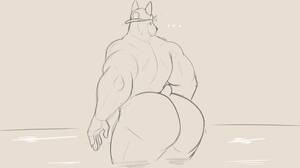 Furry Butt Porn - FURRY ASS GROWTH - ThisVid.com