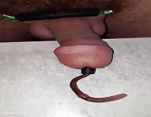 Crazy Weirdest Porn Ever - Weird - Extreme Porn Video - LuxureTV