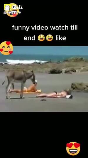 Funny Adult Porn - funny adult video Videos â€¢ RoshanVerma (@69298168) on ShareChat