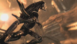 Alien Vs Predator Porn Fiction - Aliens vs. Predator 'kill move' trailer is f*cking brutal â€“ Destructoid