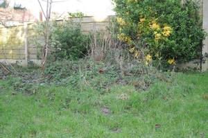 Michelle Schoolgirl Porn - The garden where the body of Kenneth Coombes was buried