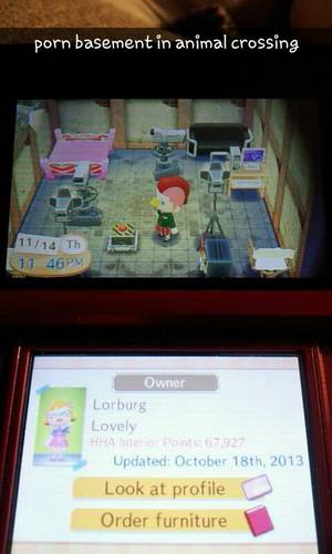 Homestuck Cosplay Porn Bestiality - Porn studio themed basement in Animal Crossing: New Leaf. Wtf?