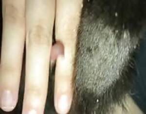 Fingering Cat Porn - Fingering a cat - Extreme Porn Video - LuxureTV