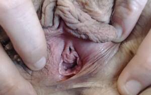 Loose Hairy Mom Pussy - Hairy mature huge meaty loose gaping labia pussy solo Porn Videos | Faphouse